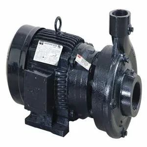 DAYTON 55JJ43 Centrifugal Pump, 3 HP, 2-1/2 NPT Inlet, 2 NPT Outlet, 3 Phase | CH6TCK