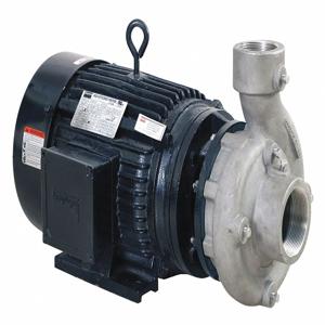 DAYTON 55JJ44 Centrifugal Pump, 3 HP, 2-1/2 NPT Inlet, 2 NPT Outlet, 3 Phase | CH6TCL