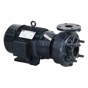 DAYTON 55JJ49 Centrifugal Pump, 5 hp, 208-230/460VAC, 2 1/2 Inch, 2 Inch Intake and Disch | CR2YLR