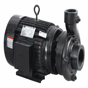 DAYTON 55JJ58 Centrifugal Pump, 10 hp, 48 Psi Max. Pressure | CH6KHL