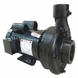 GRAINGER 55JJ64 Centrifugal Pump, 3 HP, 2-1/2 NPT Inlet, 2 NPT Outlet, 1 Phase | CH6TCH