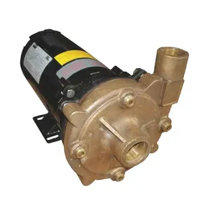 DAYTON 55JJ69 Straight Centrifugal High Head Pump, 1 hp, 230/460VAC, 1 1/4 Inch | CR2YLX