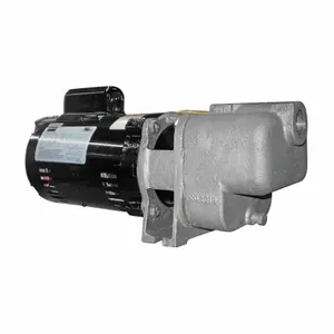 DAYTON 5GUP0 Centrifugal Pump 1/3 Hp Odp 1 Ph | AE3YHR