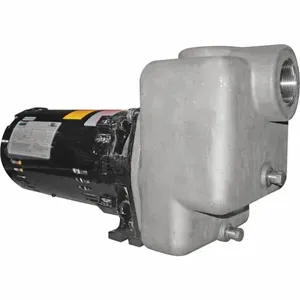 DAYTON 5GUP1 Centrifugal Pump 3/4 Hp Odp 3 Ph | AE3YHT