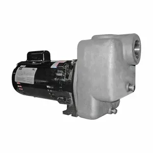 DAYTON 5GUP2 Centrifugal Pump 1 Hp Odp 1 Ph | AE3YHU