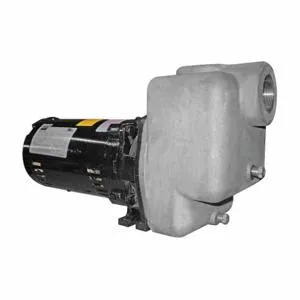 DAYTON 5GUP3 Centrifugal Pump 1 Hp Odp 3 Ph | AE3YHV