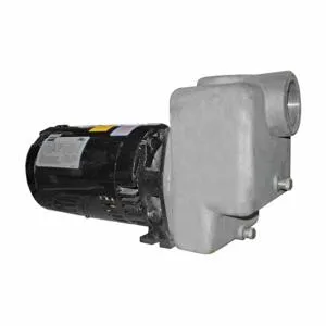 DAYTON 5GUP4 Centrifugal Pump 2 Hp Odp 3 Ph | AE3YHW