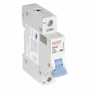 DAYTON 5MLC0 Mini Circuit Breaker C Curve 1p 1a 220vdc | AE4RFT