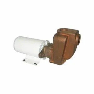 DAYTON 5PXX5 Pump Marine/rv 12 Vdc 10.5 Amp | AE6CZN