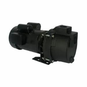 DAYTON 5RWH2 Pump Sprinkler/booster 3 Hp 1-phase | AE6GUJ