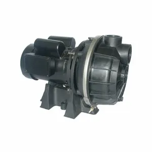 DAYTON 5RWP4 Pump Centrifugal 1 Hp 1 Ph | AE6GWJ