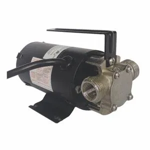 DAYTON 5UXL7 Utility Pump 115vac | AE6TKC