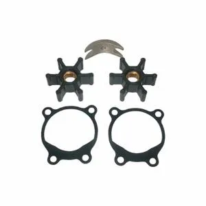 DAYTON 5UXN1 Pump Repair Kit | AE6TKG