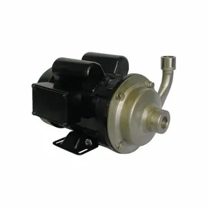 DAYTON 5WXT0 Centrifugal Pump, 1/2 Hp, 1 Phase, Stainless Steel | AE7CKN