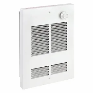 DAYTON 5ZK68 Heater Wall Mount 120 Northern White | AE7MXJ