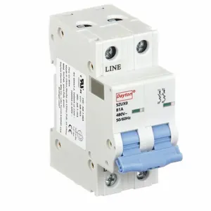 DAYTON 5ZUX0 Mini Circuit Breaker B Curve 2p 1a 480v | AE7PUJ