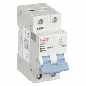 DAYTON 5ZUY0 Mini Circuit Breaker B Curve 2p 50a 480v | AE7PUV