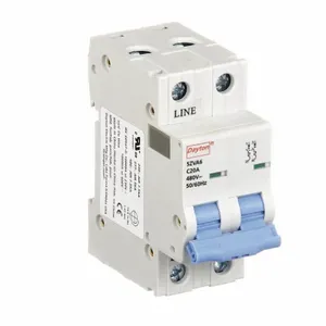 DAYTON 5ZVA6 Mini Circuit Breaker C Curve 2p 20a 480v | AE7PXK