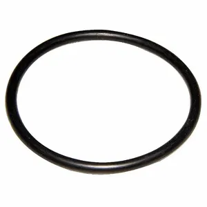 DAYTON 640078 O Ring | CJ2XTK 28CJ21