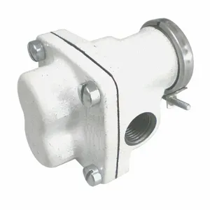 DAYTON 6DHH8 Gear Pump Head Nsf Listed | AE8JNW