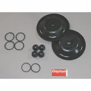 DAYTON 6PY66 Pump Repair Kit Fluid | AF2BUW