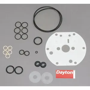 DAYTON 6PY78 Pump Repair Kit Air | AF2BVH