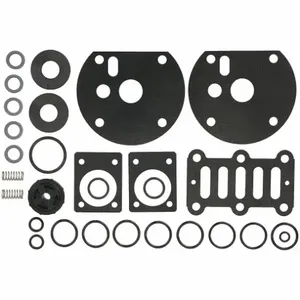 DAYTON 6PY79 Pump Repair Kit Air | AF2BVJ