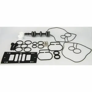 DAYTON 6PY80 Pump Repair Kit Air | AF2BVK