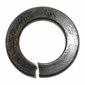 DAYTON 71291595G Lock Washer | AH9ZQG 46G412