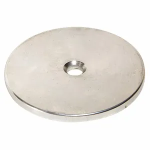 DAYTON 713369 Center Disk | CH9UUA 28CJ40