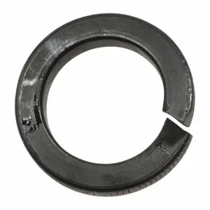 DAYTON 71480818G Lock Washer, 3TP98G/3TP99G/3TR01G | CR2XVH 46H977