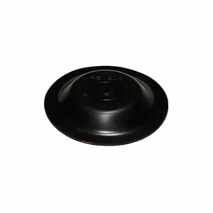 DAYTON 771259 Diaphragm, 25n | CH9ZWJ 25VA86