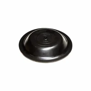 DAYTON 771700 Diaphragm 40n | AH2EBA 25VA98