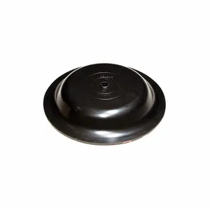 DAYTON 771702 Diaphragm | CH9ZWM 25VC42