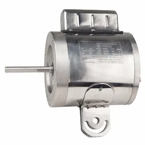 DAYTON 78042 Motor | CJ2VGY 24HK06