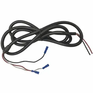 DAYTON EC-25 Pushbutton Cord Assembly | AH9ZWR 46G723