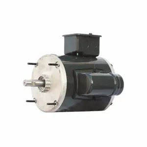 DAYTON GGS_46529 Direct Drive Motor, 1/4 HP, 1075 RPM, 115V AC, 2.8A Full Load | CJ2AEN 42EM86