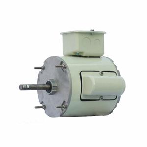 DAYTON GGS_47538 Corrosion Resistant Direct Drive Motor, 1/8 HP, 1625 RPM, 115V AC | CH9YCL 42CW68
