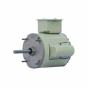 DAYTON GGS_47539 Corrosion Resistant Direct Drive Motor, 1/6 HP, 1625 RPM, 115V AC | CH9YCP 42CW69