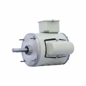 DAYTON GGS_47541 Corrosion Resistant Direct Drive Motor, 1/3 HP, 1075 RPM, 115V AC | CH9YCN 42CW71