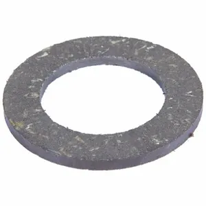 DAYTON GGS_57018 Friction Disc, 2Pk | CJ2FYT 177K03