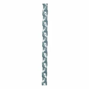 DAYTON GGS_57157 Load Chain, 10 ft. Lift | CJ2THA 198W73