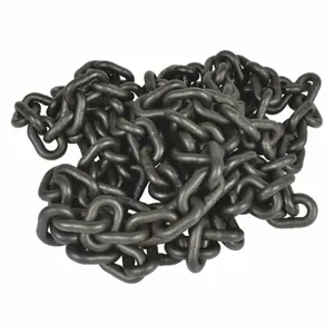 DAYTON GKK029-10FT Chain Load | AH9ZUA 46G550