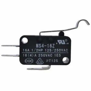 DAYTON HV000002SG Microswitch | AH2ERZ 26CZ98