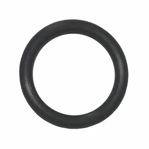 DAYTON MH29XL8554G Gasket O-Ring | AG9HCJ 20JG20