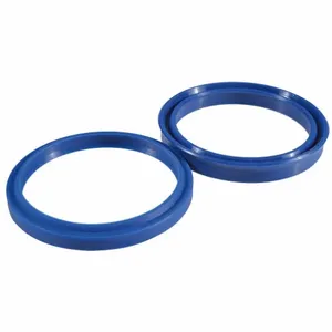 DAYTON MH2LEB923 Ring Seal Kit | AJ2BKY 46J690