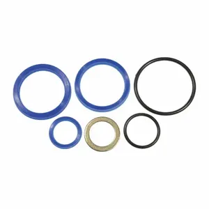 DAYTON MH2PLH714G Pump Seal Kit | AJ2AMV 46H273