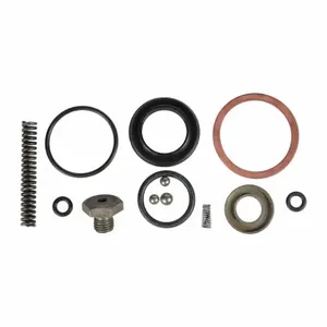 DAYTON MH2PLJ212G Pump Seal Kit | AJ2ANP 46H349