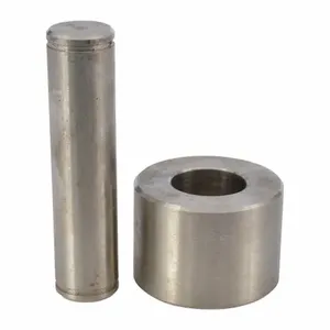 DAYTON MH2PLJ221G Roller Pin Kit | AJ2ANQ 46H358