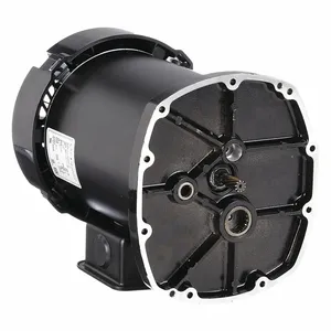 DAYTON P150-507-9002 Motor | CJ2VDY 24UX27